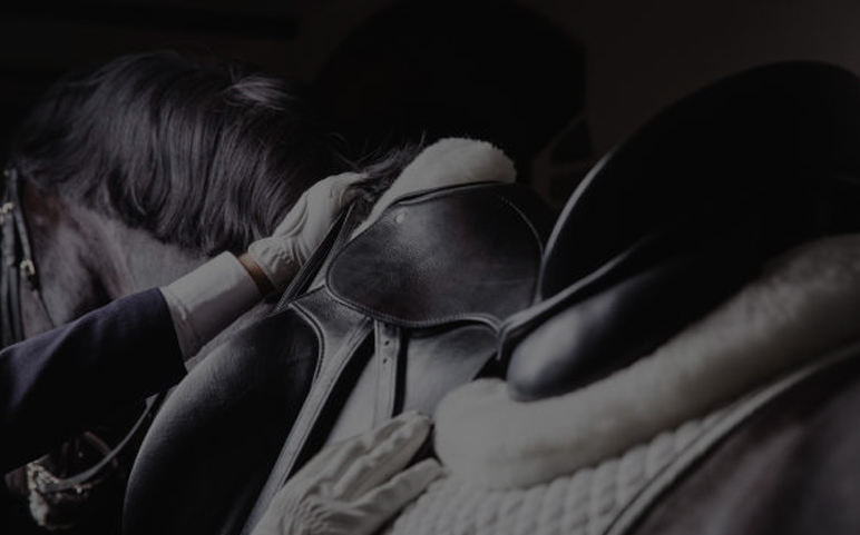 Horse wear